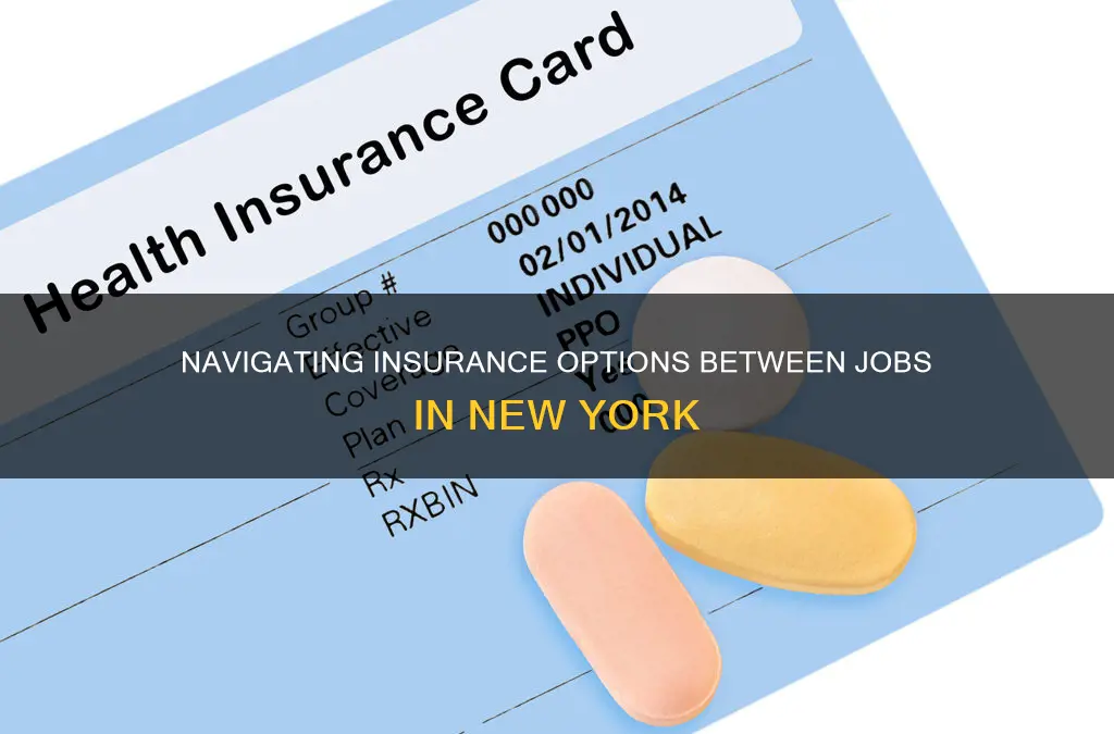 how to apply for insureance between jobs new york