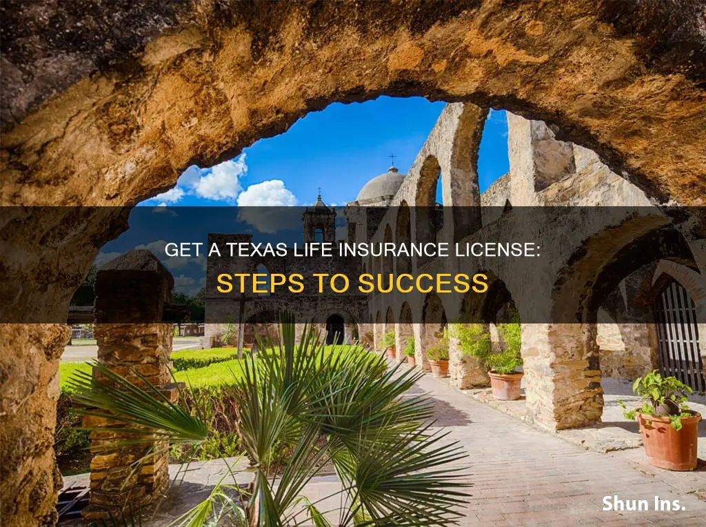 how to apply for life insurance agent license in Texas