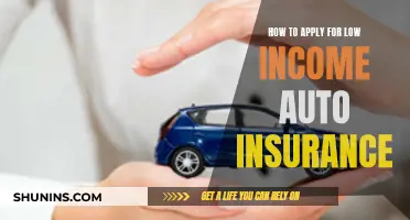 Accessing Affordable Auto Insurance for Low-Income Earners