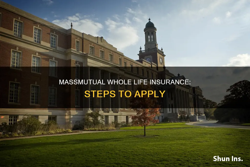 how to apply for massmutual financial group whole life insurance