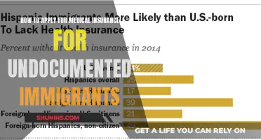 Undocumented Immigrants: Applying for Medical Insurance