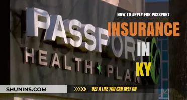 Passport Insurance in Kentucky: Application Process Simplified