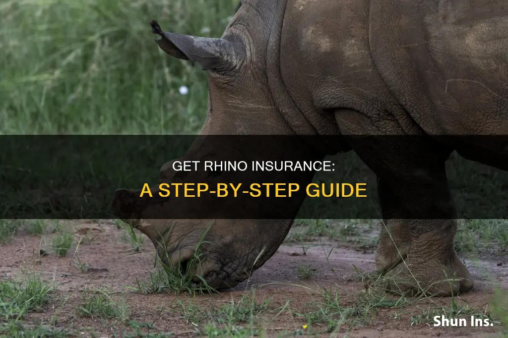 how to apply for rhino insurance