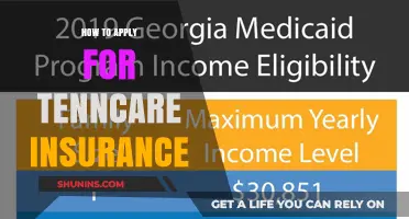 TennCare Insurance: Application Process Simplified