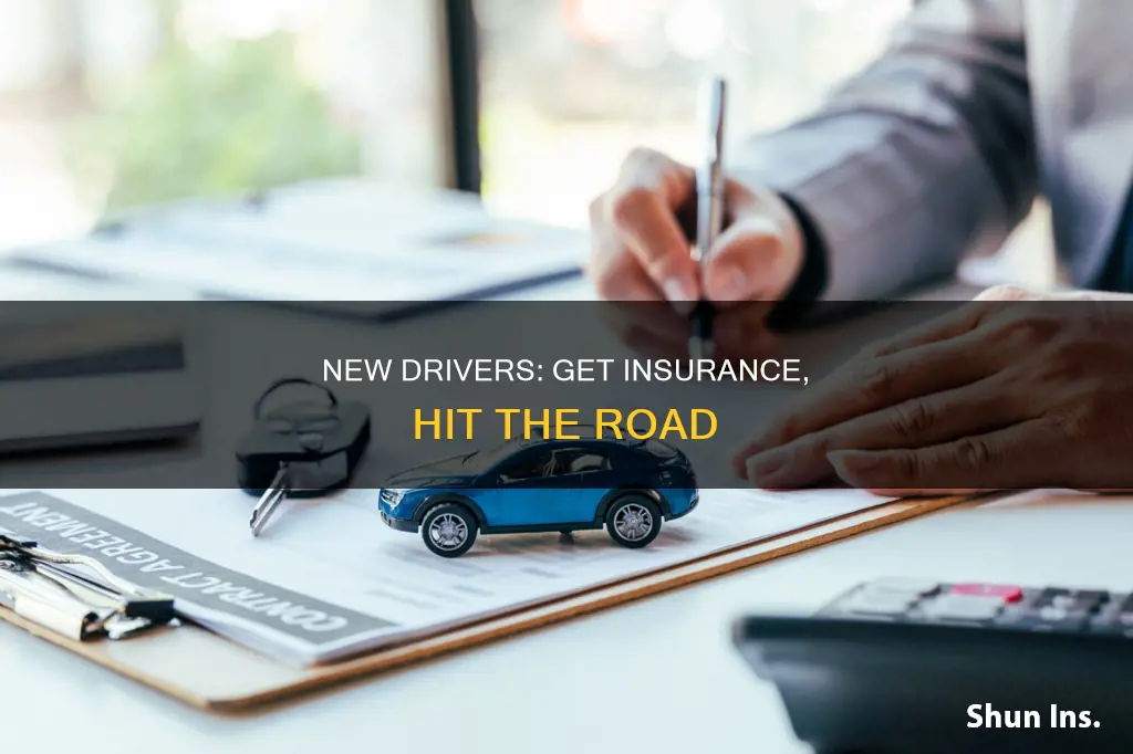 how to apply insurance for new drivers