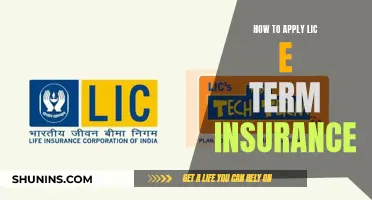 A Comprehensive Guide to Navigating LIC e-Term Insurance Application Process