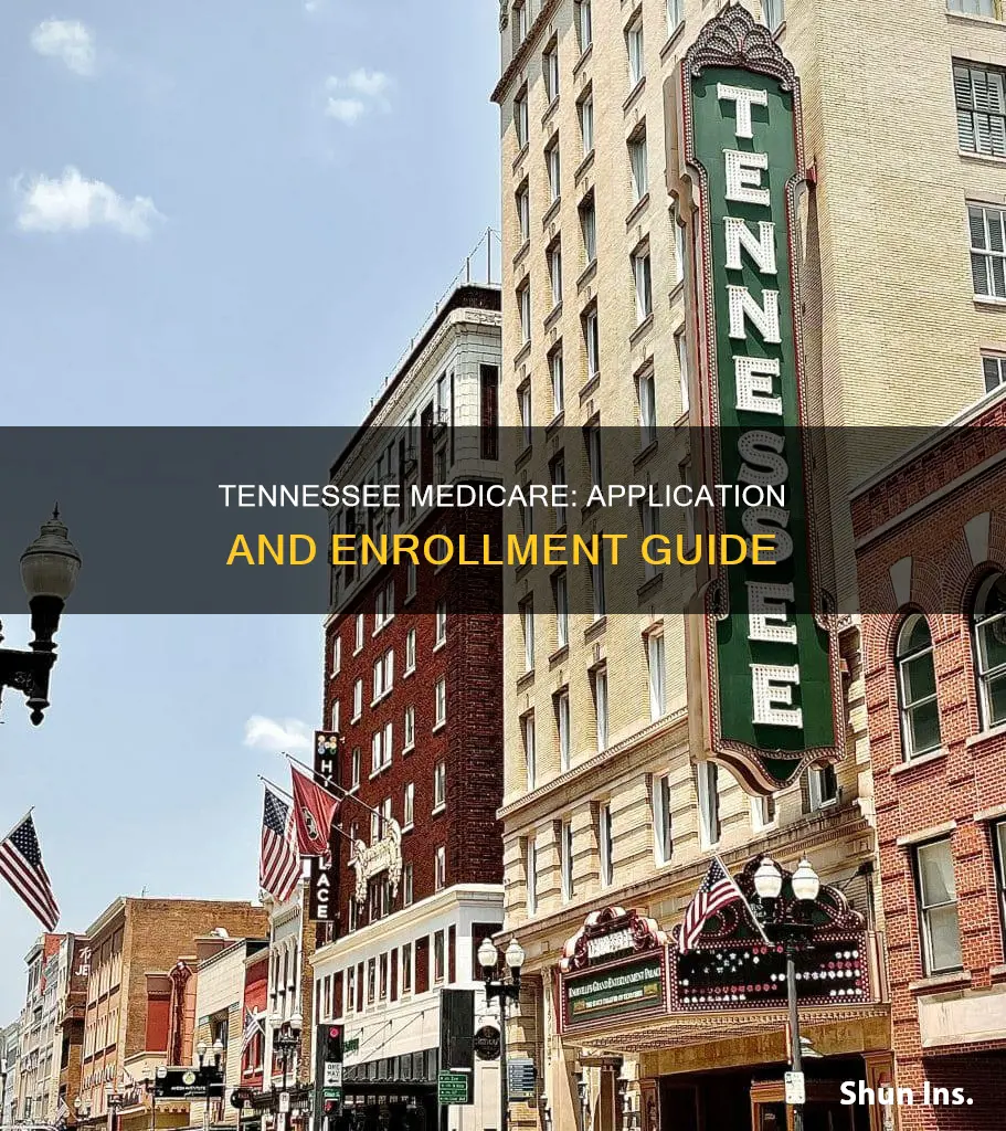 how to apply medicare tennessee