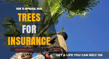 Appraising Dead Trees for Insurance: A Comprehensive Guide for Claims