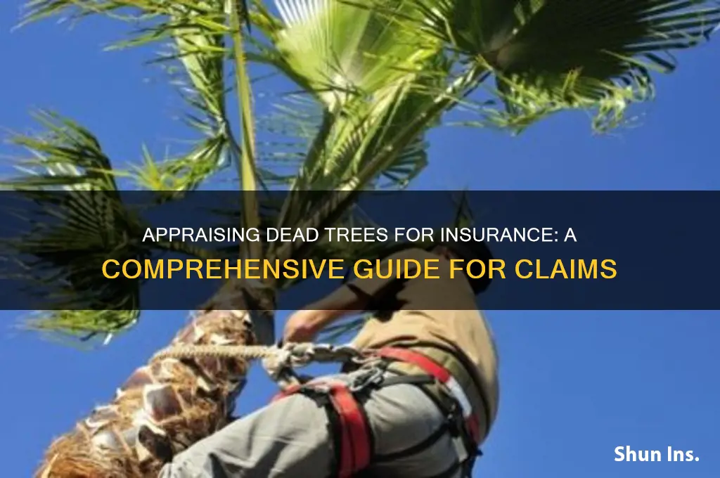how to appraisal dead trees for insurance