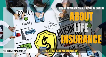 Life Insurance for Small Business Owners: A Guide