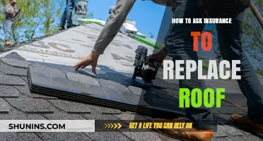How to Successfully Ask Your Insurance to Replace Your Roof