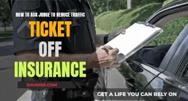 Appealing Your Traffic Ticket: Strategies to Reduce Fines and Insurance Premiums