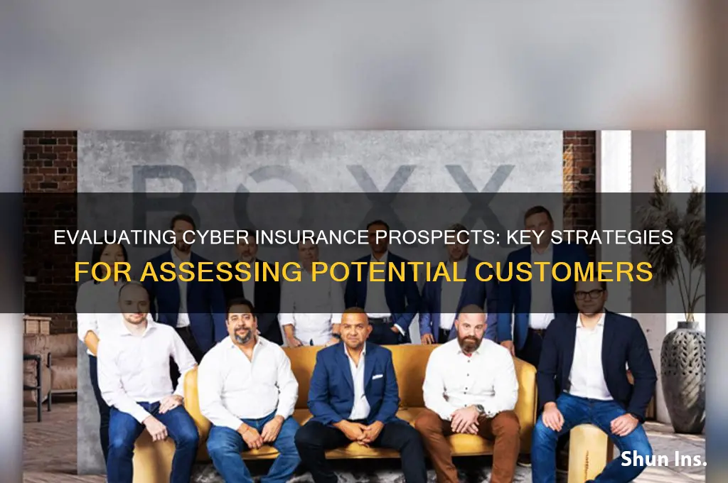 how to assess potential customers for cyber insurance