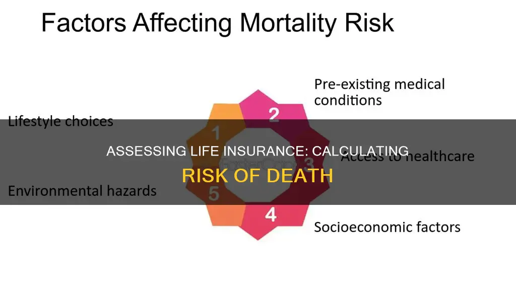 how to assess risk of death for life insurance