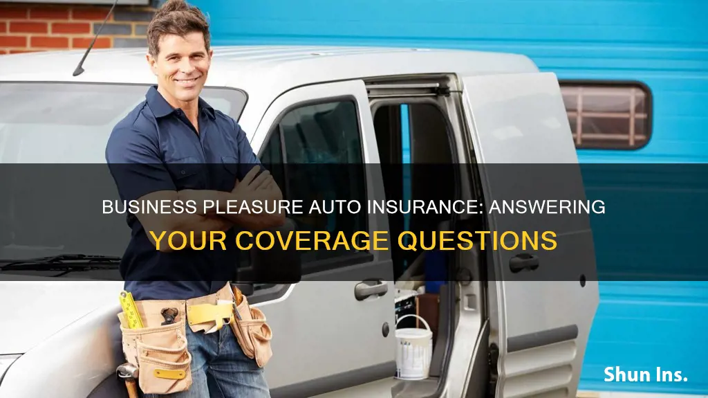 how to aswer business pleasure auto insurance