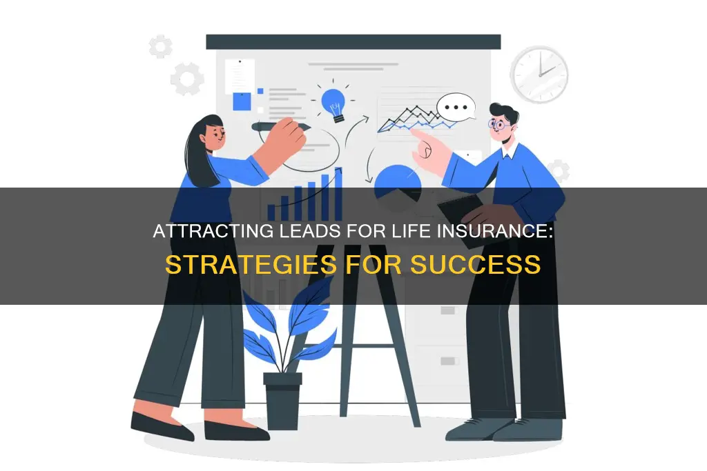 how to attract leads for life insurance