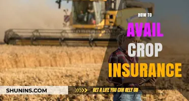 Secure Your Harvest: A Step-by-Step Guide to Crop Insurance