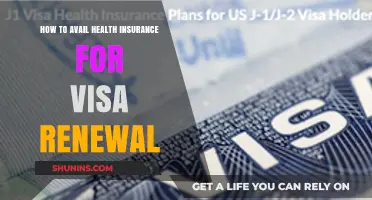 Essential Guide: Securing Health Insurance for Visa Renewal Process