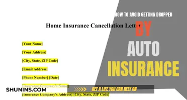 Stay Insured: Tips to Avoid Auto Insurance Policy Cancellation