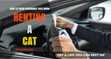 Renting a Cat? Smart Tips to Avoid Hidden Insurance Fees