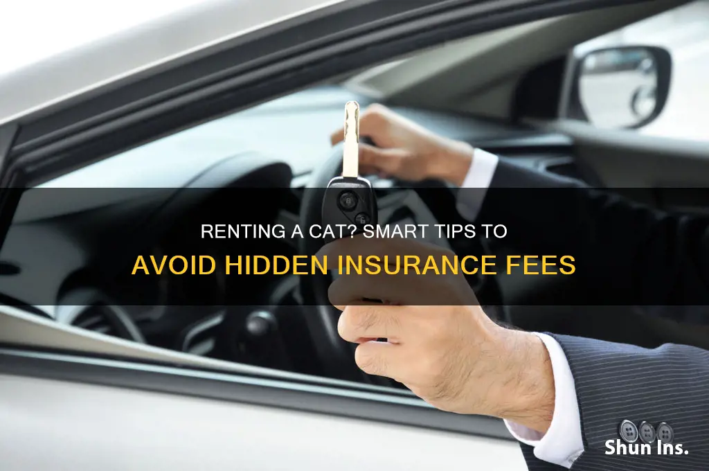how to avoid insurance fees when renting a cat
