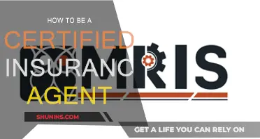 Becoming a Certified Insurance Agent: Steps to Success