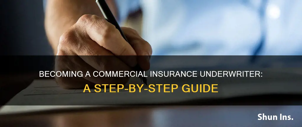 how to be a commercial insurance underwriter