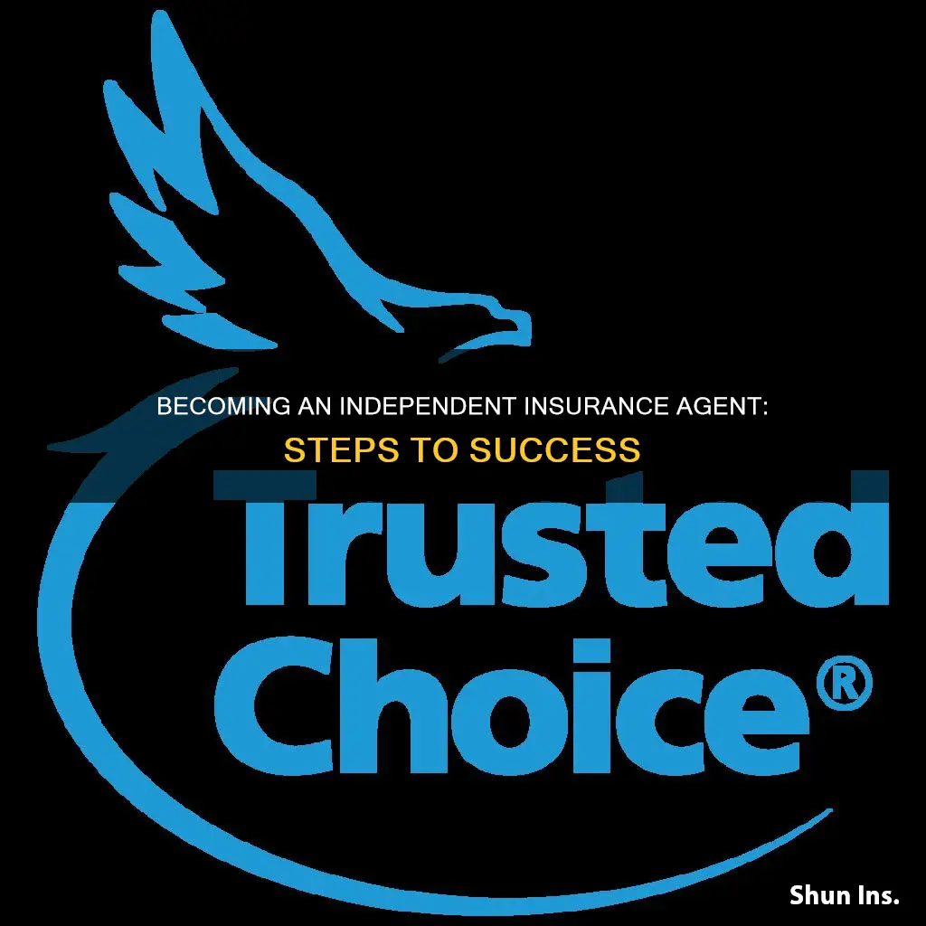 how to be a indepenent insurance agent
