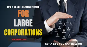 Life Insurance Provider: Serving Large Corporations Better