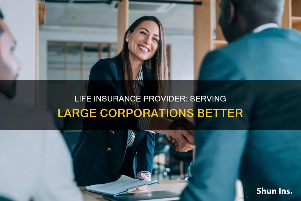 how to be a life insurance provider for large corporations