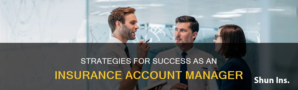 how to be a successful insurance account manager