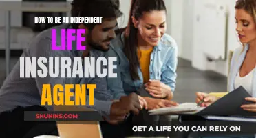 Becoming a Successful Independent Life Insurance Agent