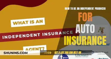 Becoming an Auto Insurance Producer: Steps to Independence