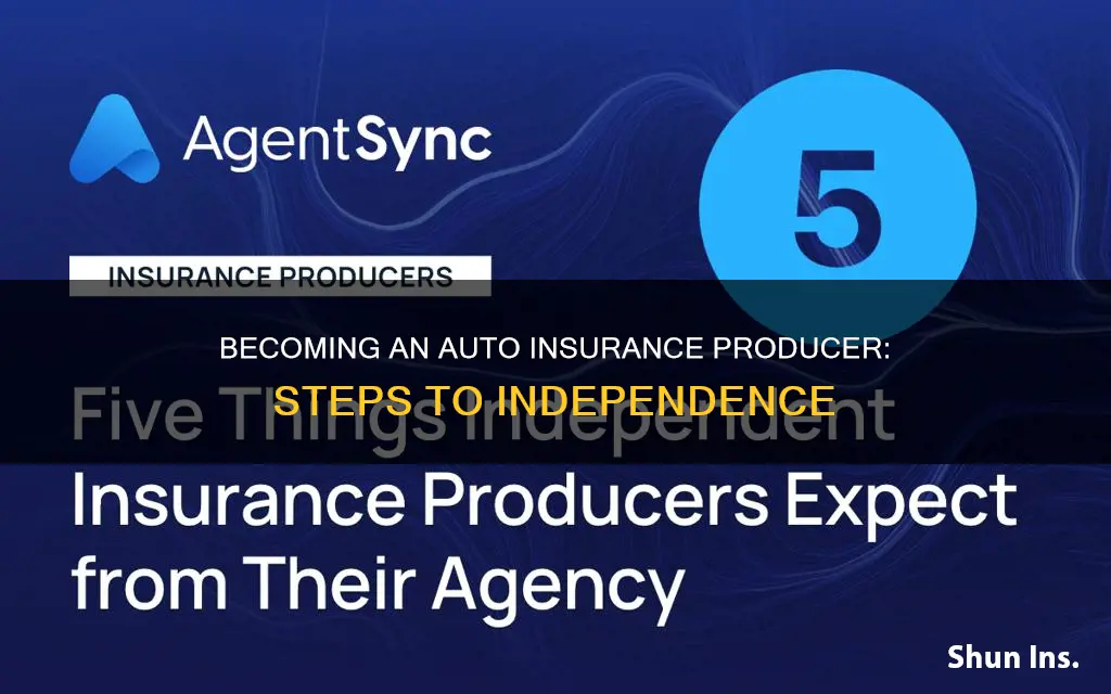 how to be an independent producer for auto insurance