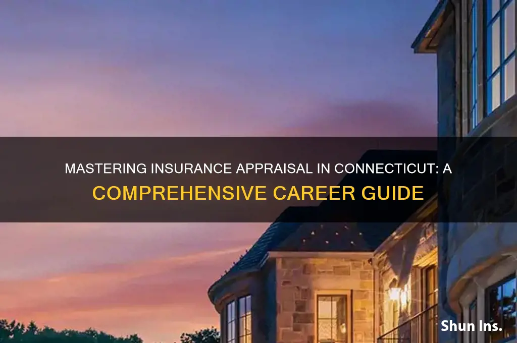 how to be an insurance appraiser ct