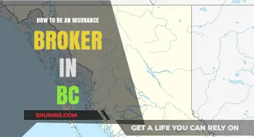 How to Become a Successful Insurance Broker in BC