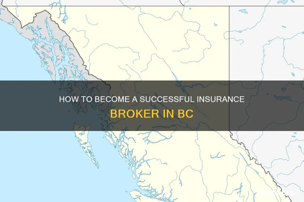 how to be an insurance broker in bc
