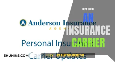 Insurance Carrier: Steps to Success