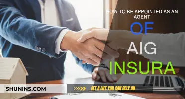 Partner with AIG: Steps to Become an Agent