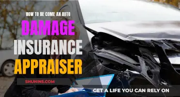 The Ultimate Guide to Becoming an Auto Damage Appraiser