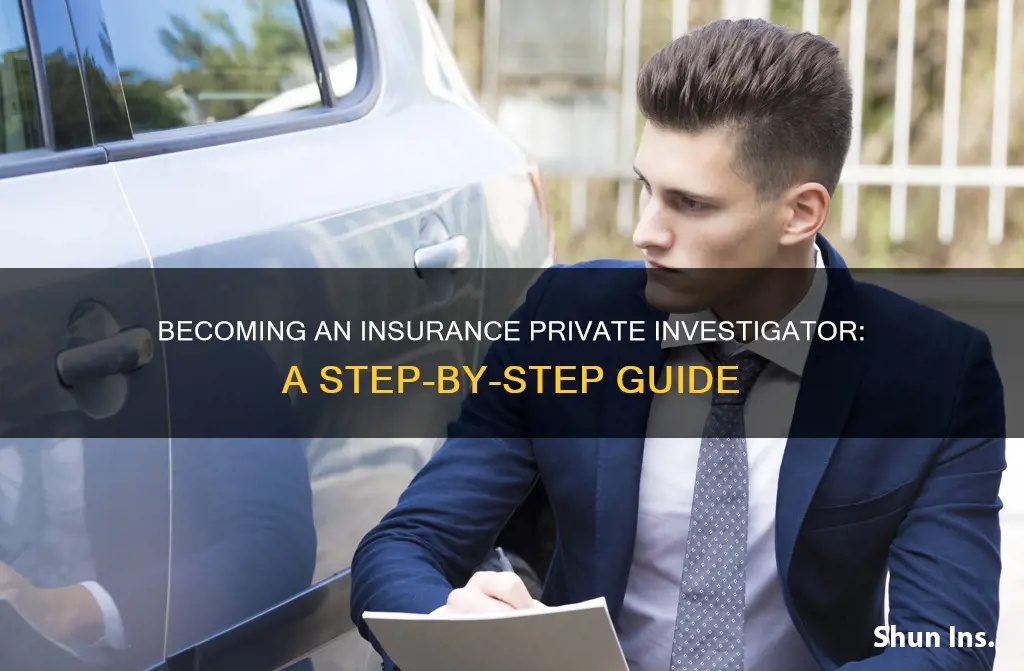 how to be insurance private investigator