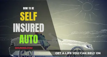 Self-Insured Auto: Taking Control of Your Vehicle's Future