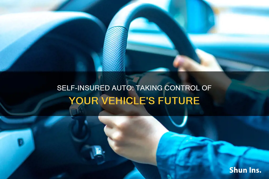 how to be self insured auto