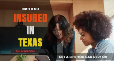 Self-Insuring in Texas: A Comprehensive Guide to Financial Independence