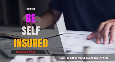 Mastering Self-Insurance: A Comprehensive Guide to Financial Independence