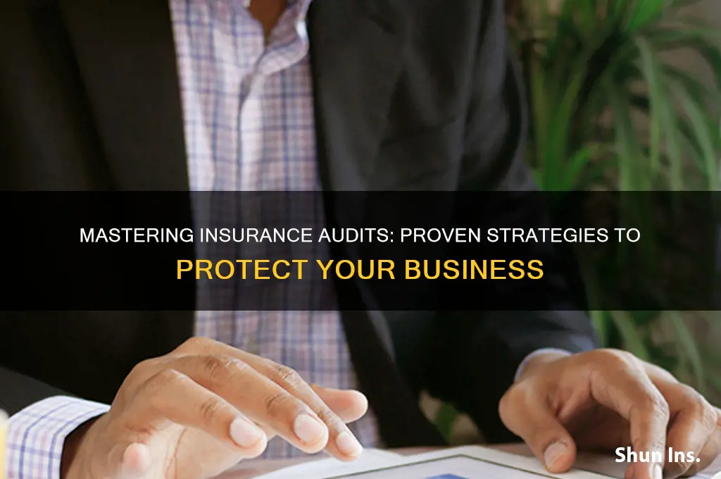 how to beat an insurance audit
