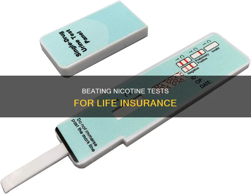 how to beat life insurance nicotine test