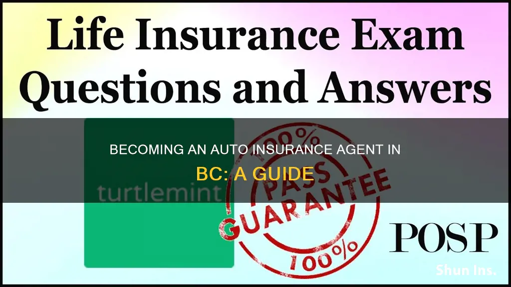 how to become a auto insurance agent in bc