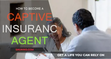Captive Insurance Agent: Steps to Success