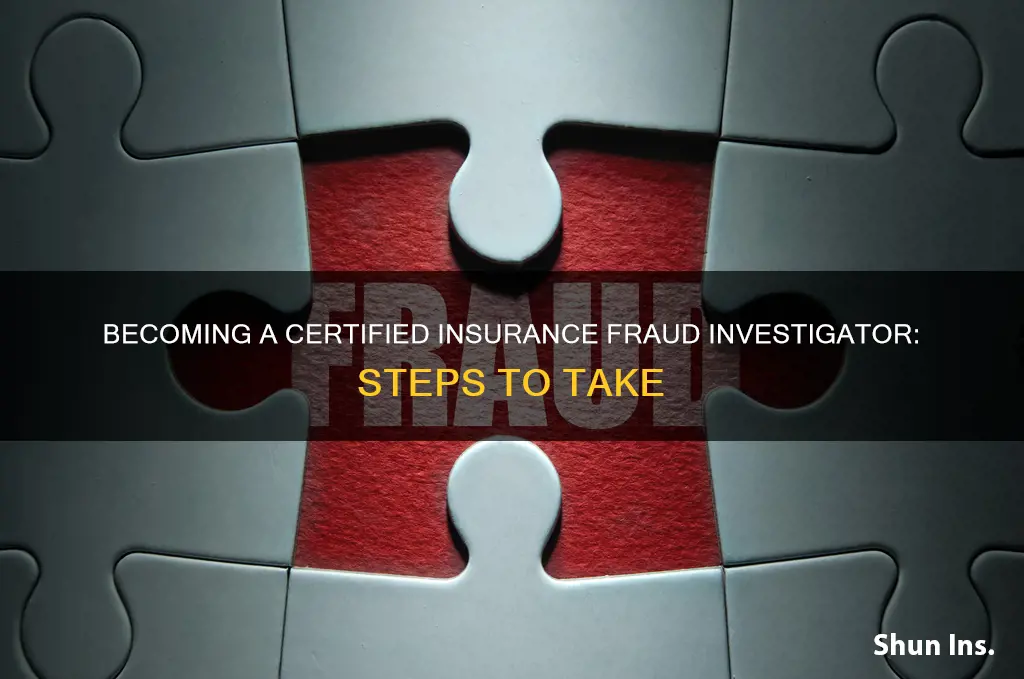 how to become a certified insurance fraud investigator